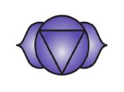 Brow or Third Eye Chakra